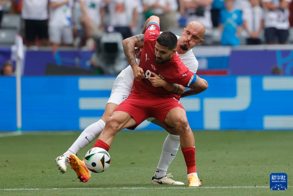 斯洛文尼亚晋级,全队球员庆祝获胜 斯洛文尼亚晋级,全队球员庆祝获胜