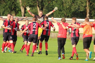 aoa体育教练-让球迷狂欢的胜利，赛场上灿烂绝伦的表现，形容球迷的狂热的句子